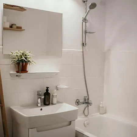 Apartment Ultracentral Cozy In Timisoara