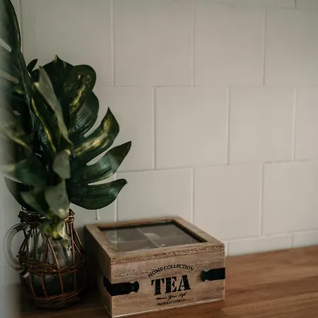 Ultracentral Cozy In Apartment *